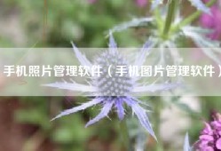 手机照片管理软件（手机图片管理软件）