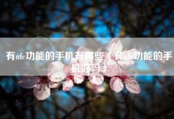 有nfc功能的手机有哪些（有nfc功能的手机好吗）