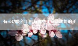 有nfc功能的手机有哪些（有nfc功能的手机好吗）