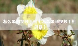 怎么录制视频手机（怎么录制视频手机屏幕）