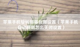 苹果手机旋转屏幕在哪设置（苹果手机自动横屏怎么关闭设置）