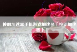 神明加速器手机游戏加速器「神明加速器」