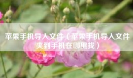 苹果手机导入文件（苹果手机导入文件夹到手机在哪里找）