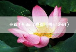 查看手机dns（查看手机wifi密码）