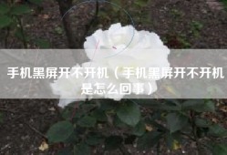 手机黑屏开不开机（手机黑屏开不开机是怎么回事）