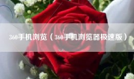 360手机浏览（360手机浏览器极速版）