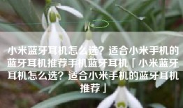小米蓝牙耳机怎么选？适合小米手机的蓝牙耳机推荐手机蓝牙耳机「小米蓝牙耳机怎么选？适合小米手机的蓝牙耳机推荐」