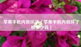 苹果手机内屏坏了（苹果手机内屏坏了修多少钱）