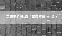 苹果手机当u盘（苹果手机 当u盘）