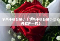 苹果手机音量小（苹果手机音量小怎么办教你一招）