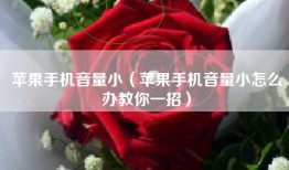 苹果手机音量小（苹果手机音量小怎么办教你一招）