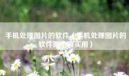 手机处理图片的软件（手机处理图片的软件哪个最实用）