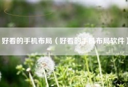 好看的手机布局（好看的手机布局软件）