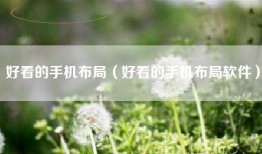 好看的手机布局（好看的手机布局软件）