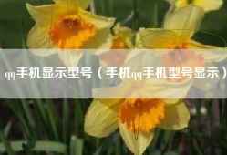 qq手机显示型号（手机qq手机型号显示）