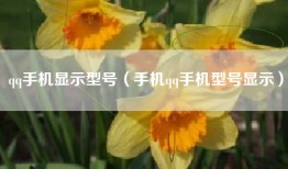 qq手机显示型号（手机qq手机型号显示）