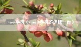 vivoy手机（vivoy78手机多少钱一台）