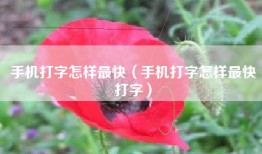 手机打字怎样最快（手机打字怎样最快打字）