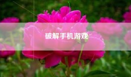 破解手机游戏