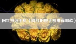 网红拍照手机（网红拍照手机推荐哪款）