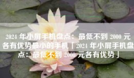 2024 年小屏手机盘点：最低不到 2000 元各有优势最小的手机「2024 年小屏手机盘点：最低不到 2000 元各有优势」