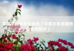 苹果手机有哪些颜色（苹果手机有哪些颜色的图片）