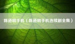 陈道明手机（陈道明手机连续剧全集）