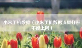 小米手机数据（小米手机数据流量打开不能上网）