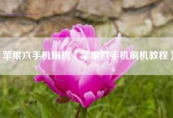 苹果六手机刷机（苹果六手机刷机教程）