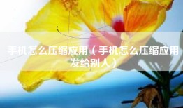 手机怎么压缩应用（手机怎么压缩应用发给别人）