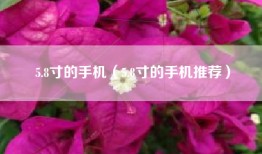 5.8寸的手机（5.8寸的手机推荐）