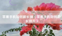 苹果手机如何截长图（苹果手机如何截长图片）