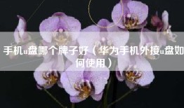 手机u盘哪个牌子好（华为手机外接u盘如何使用）