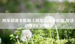 风车动漫手机版（风车动漫手机版-专注动漫的门户网）