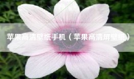 苹果高清壁纸手机（苹果高清屏壁纸）