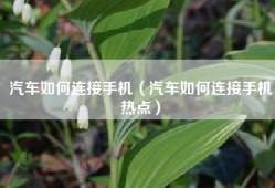 汽车如何连接手机（汽车如何连接手机热点）