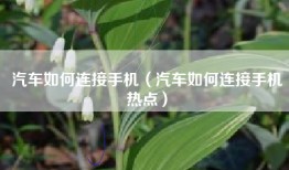 汽车如何连接手机（汽车如何连接手机热点）