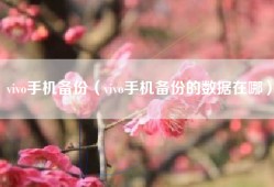 vivo手机备份（vivo手机备份的数据在哪）