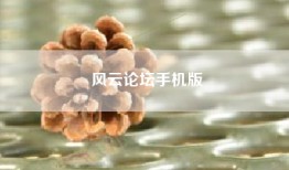 风云论坛手机版