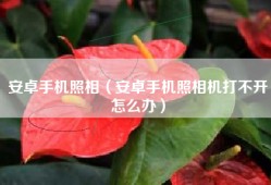 安卓手机照相（安卓手机照相机打不开怎么办）