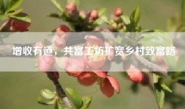 增收有道，共富工坊扩宽乡村致富路