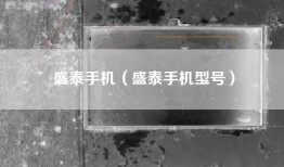 盛泰手机（盛泰手机型号）