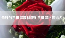 最好的手机屏幕材质（手机屏材质排名）