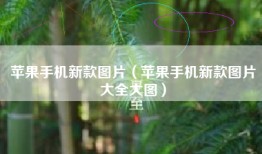 苹果手机新款图片（苹果手机新款图片大全大图）