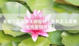 手机怎么设置无线密码（手机怎么设置无线密码连接）