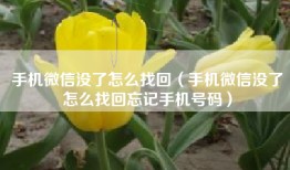 手机微信没了怎么找回（手机微信没了怎么找回忘记手机号码）