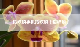 指纹锁手机指纹锁「指纹锁」