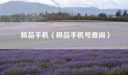极品手机（极品手机号查询）