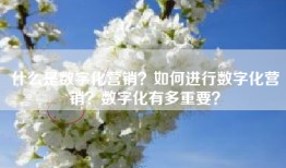 什么是数字化营销？如何进行数字化营销？数字化有多重要？