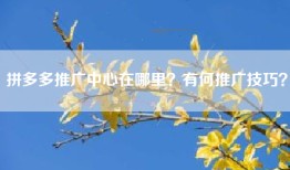 拼多多推广中心在哪里？有何推广技巧？